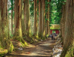 Nagano, Nagano - Visit one of Japan's Largest Temples and Ninja Museum post feature image